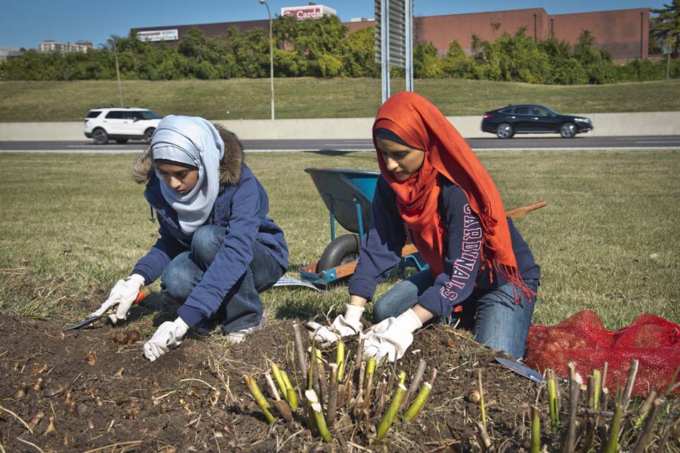 SLU students gardening Two SLU students kneel next to a gardening plot, wearing gloves, headscarves and digging in the dirt.