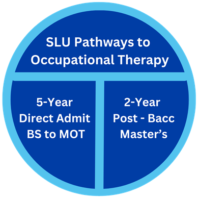 Infographic of a circle divided into three parts. The top of the circle reads SLU Pathways to Occupational Therapy. The bottom section of the circle is divided in half, with one side reading 5-year Direct Admit BS to MOT and the other 2-year Post - Bacc Master's