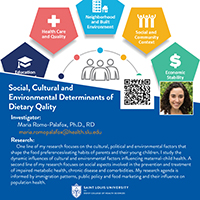 Maria Romo-Palafox Research Graphic Maria Romo-Palafox Research Graphic