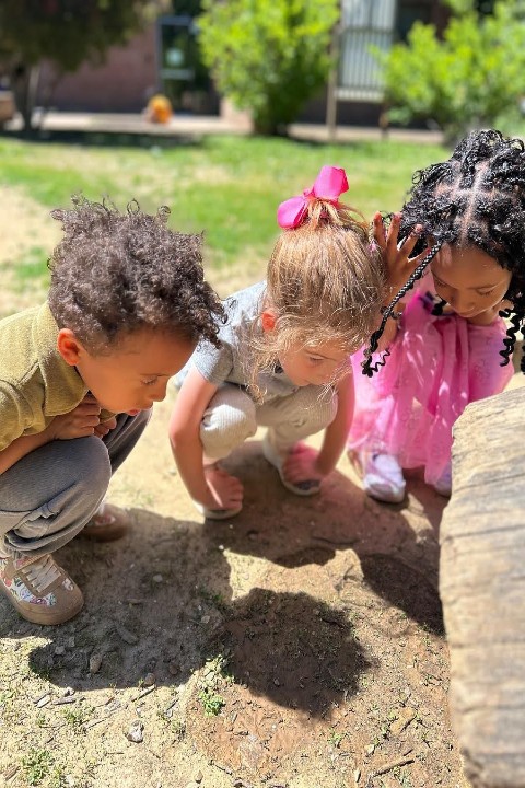 children playing outside on a sunny day