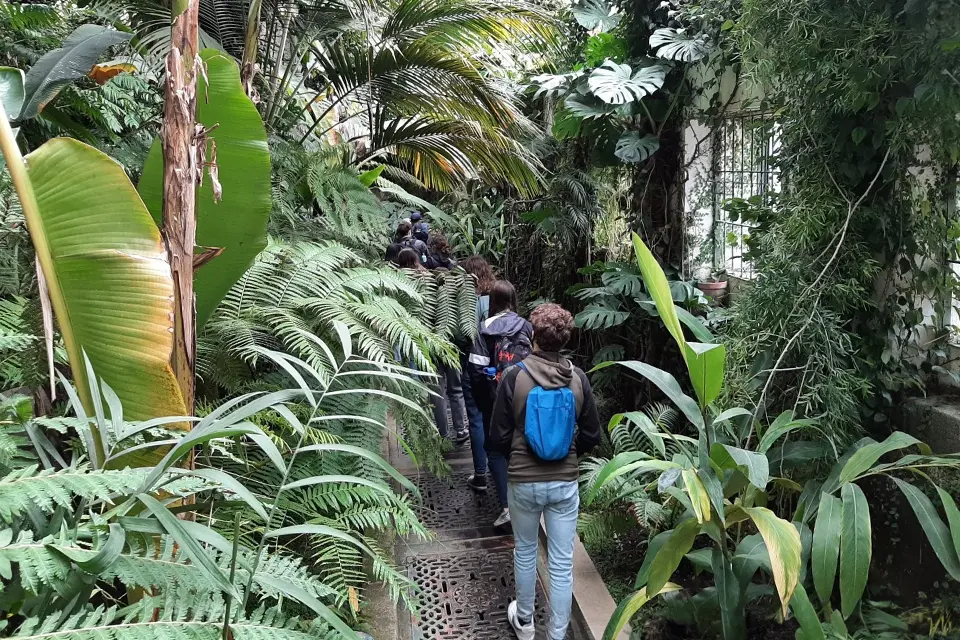 Students walking through Roya Bonatical Garden of Madrid during class trip.