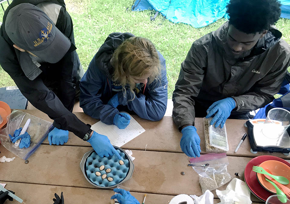 Dan Warren, Ph.D. (Biology) and Mickey Ariel, Ph.D. (Pharmacology and Physiology) were recently awarded a three-year, $700,000 grant from the National Science Foundation to study the neurophysiological basis of anoxia tolerance in turtles.