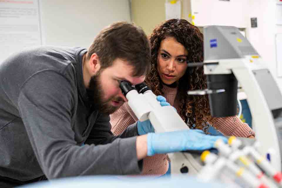 Student researchers Students in a tissue lab