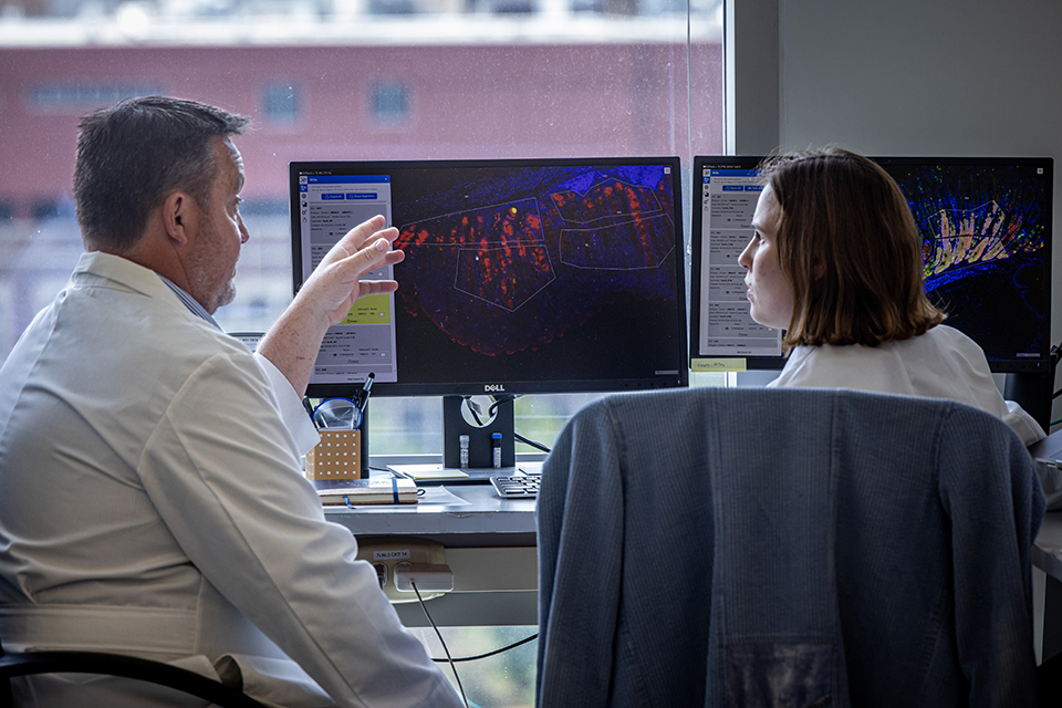 Richard DiPaolo, Ph.D., professor and chair Molecular Microbiology and Immunology, reviews data on a computer screen. Richard DiPaolo, Ph.D., professor and chair Molecular Microbiology and Immunology, reviews data on a computer screen.